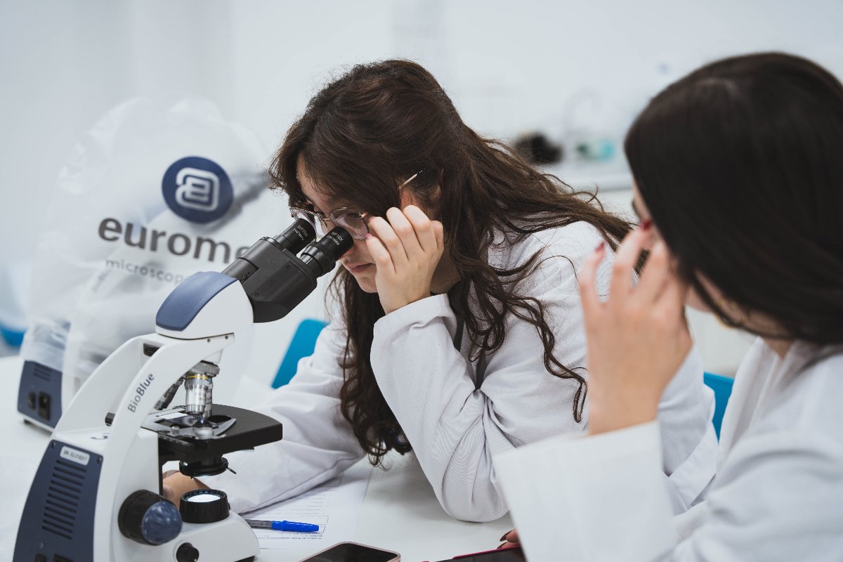 LinkiaFP tweet media