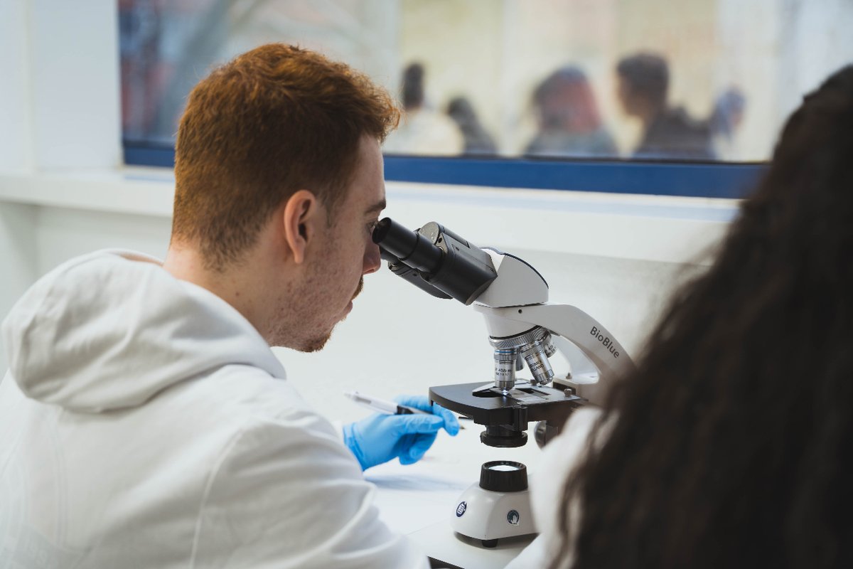 LinkiaFP tweet media