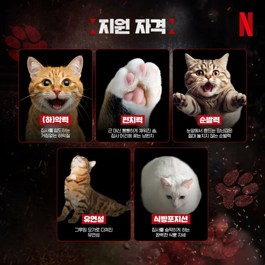 bighwanjang1's tweet photo. 만우절 넷플릭스 신작 뭔데 ㅋㅋㅋㅋㅋ https://t.co/jCg2CmWkWw