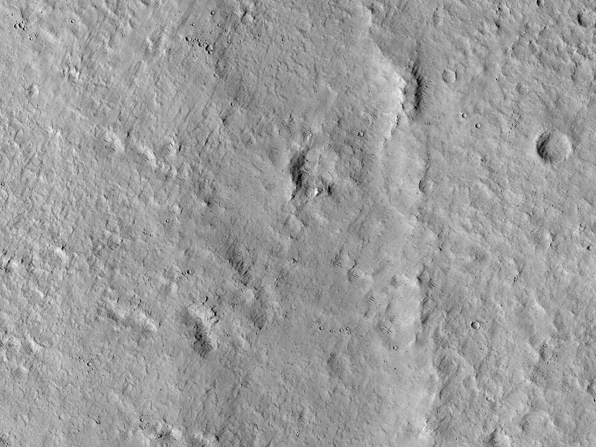 HiRISEPortugues's tweet photo. HiPOD Português: 01 abril 2024 
Serra em Orcus Patera

número: ESP_050513_1955
data de aquisição: 06 maio 2017
altitude: 283 km

https://t.co/OwKhKvnoi7
NASA/JPL-Caltech/UArizona
#Marte #NASA #ciência #português https://t.co/affdcnahFN