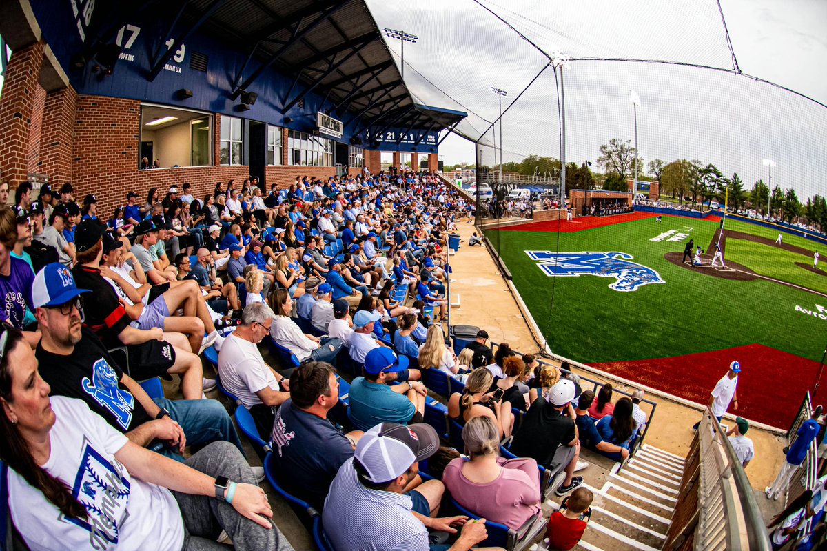 TigersAthletics's tweet photo. Everyday we are thankful for our Tiger supporters who help our 400+ student-athletes succeed both on the field and in the classroom! 

Help us kick off #DrivenByGiving week by continuing to support Memphis Athletics and driving us to new heights ⬇️

🔗 https://t.co/jAs4odco5H https://t.co/ZCdjr3VxfM