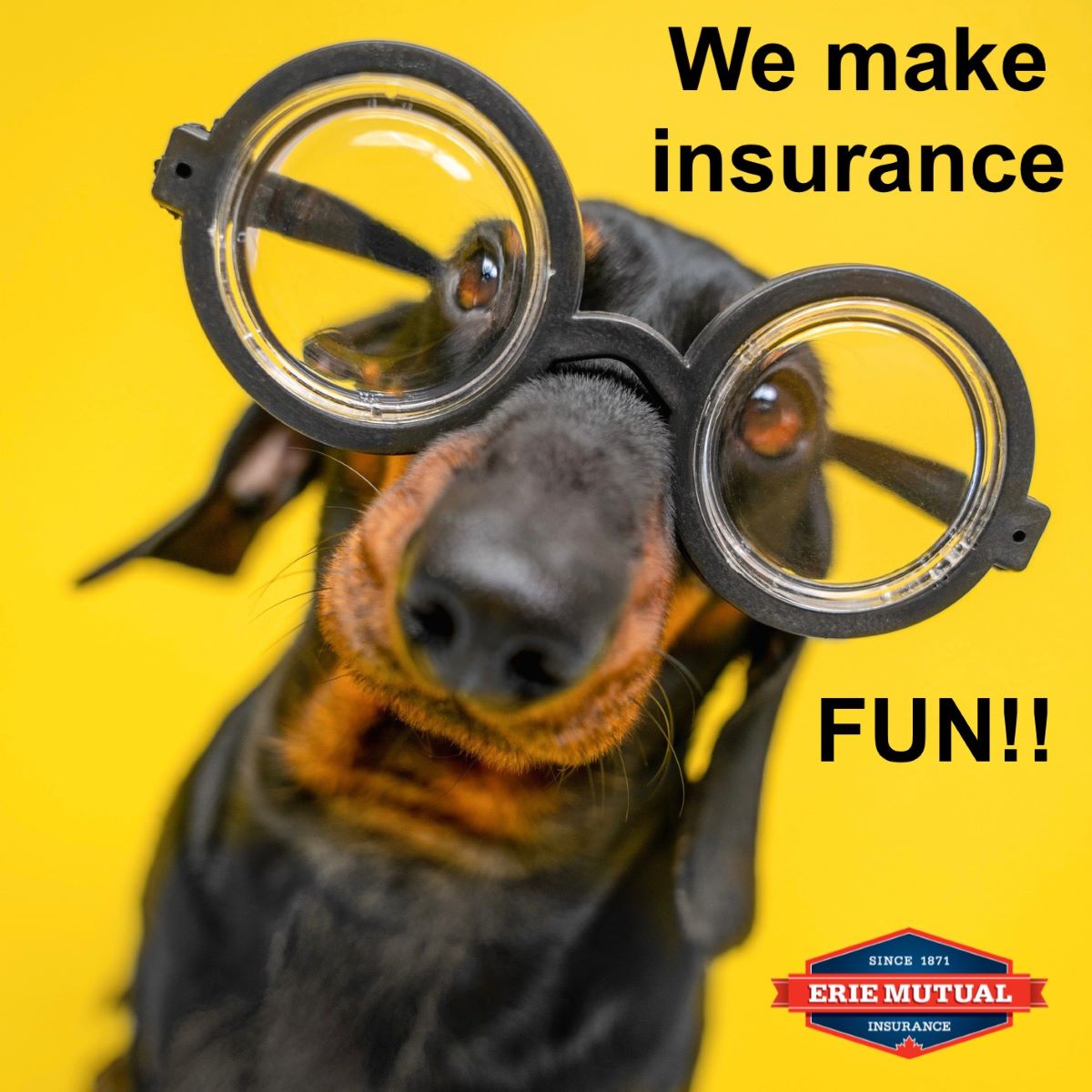 We're not April Fooling! 

We promise we'll take care of your insurance needs and make it as easy and painless as a walk in the park (wag tail here).

#insurance #insuranceprotection