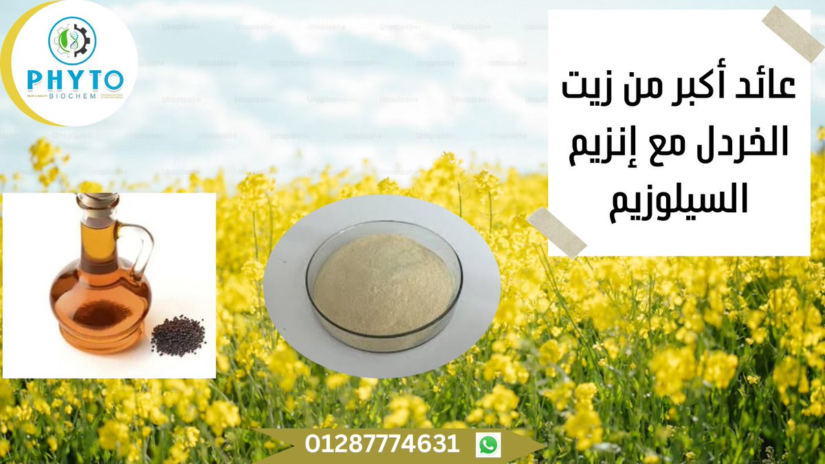 استخلص زيت الخردل بنسبة أعلى من 40٪ مع الضغط البارد وإنزيم السيلوزيم استفد من الإنتاجية المحسّنة والجودة الممتازة. انضم إلينا لرحلة نحو مستقبل مشرق في صناعة الزيوت. 🌱💧 #زيت_الخردل #إنزيم_السيلوزيم #جودة_عالية #ابتكار