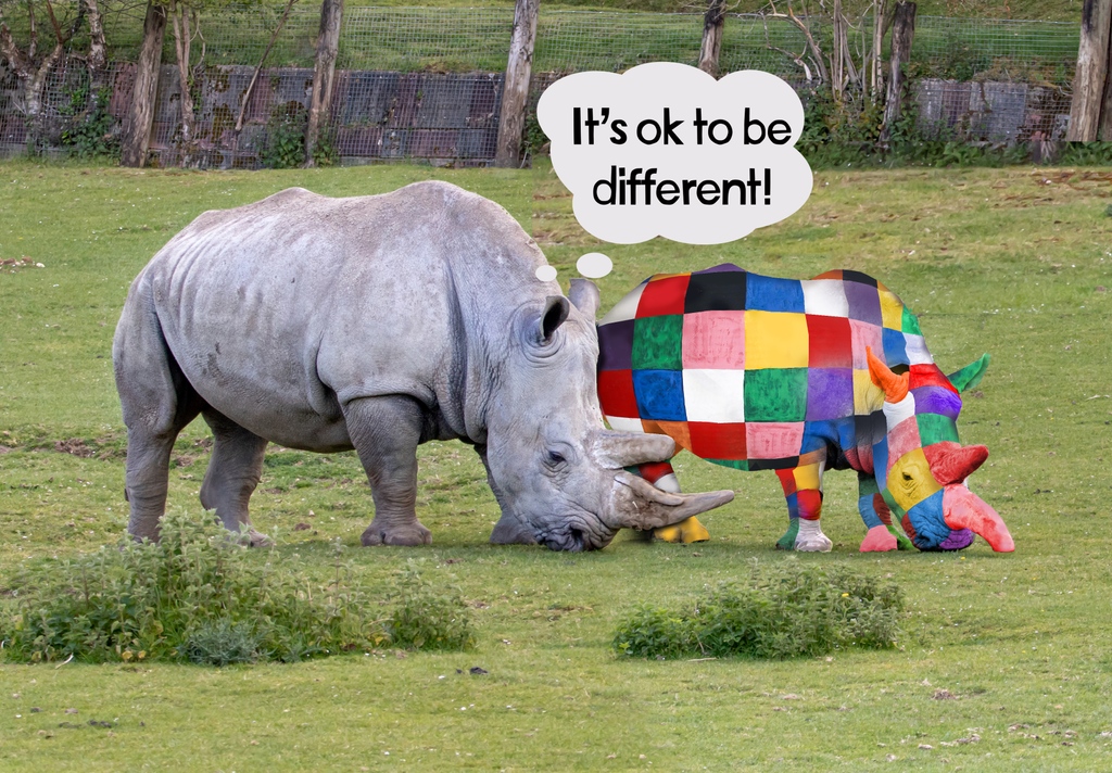 It seems our rhinos overheard one of our little guests talking about Elmer the Patchwork Elephant and how it’s important to embrace our differences. Our keepers spotted a huge puddle of grey berry juice in the paddock washed off in last night’s rain & 1 very colourful rhino!🦏🌈