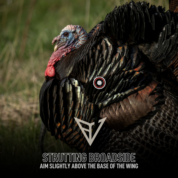 BowhuntersU's tweet photo. Do we have any turkey whisperers in the house?!
If you're thinking about chasing turkeys this spring, check out Bowhunters United's tactics for putting the perfect shot on a big bird.
Find the link in the bio! https://t.co/L7Cikp3mIE
#bowhuntersunited #joinforfree https://t.co/chjCO1IpAv