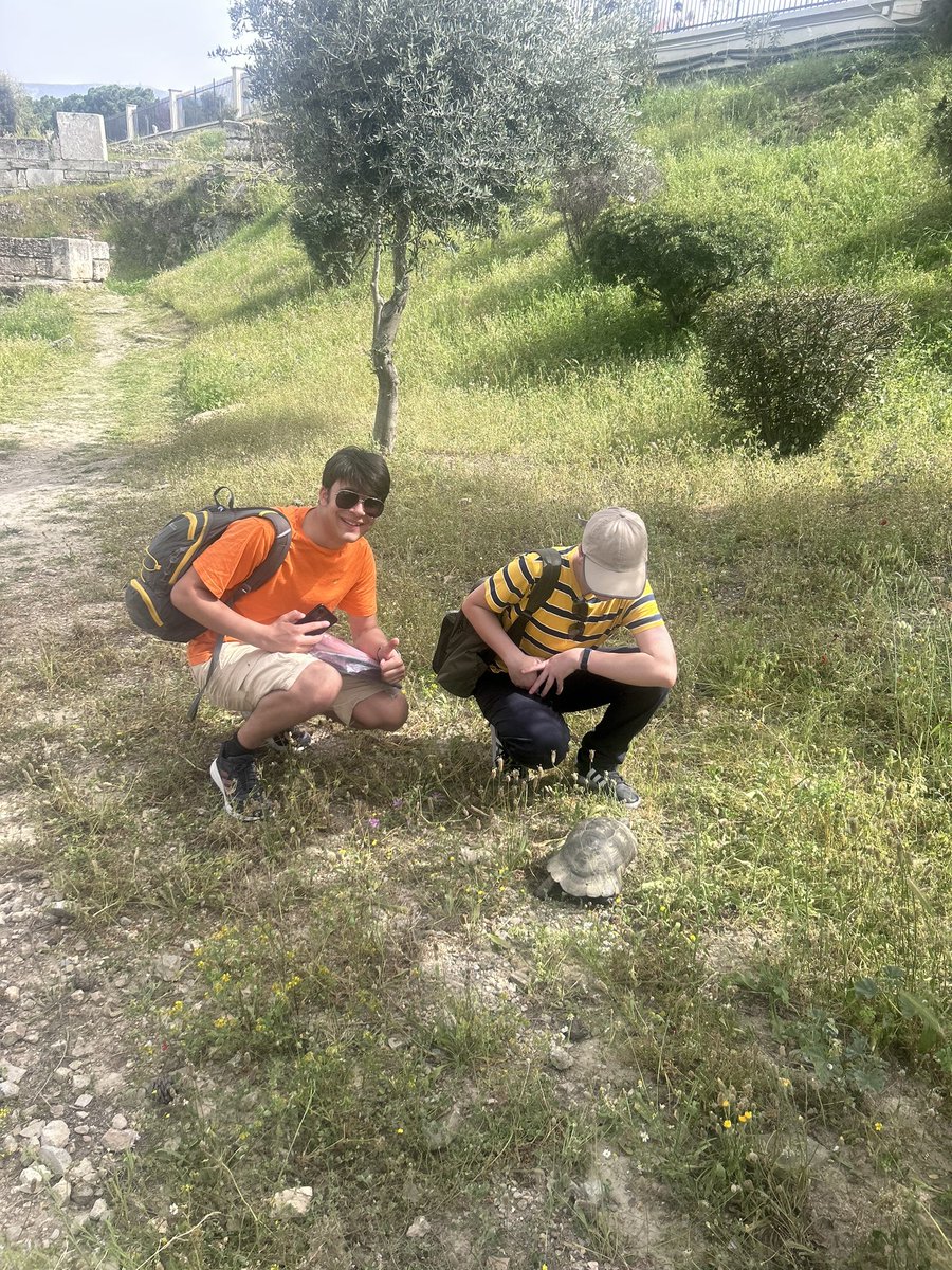 ClassicsMTS's tweet image. Tortoise spotting in the Kerameikos 🐢🐢🐢