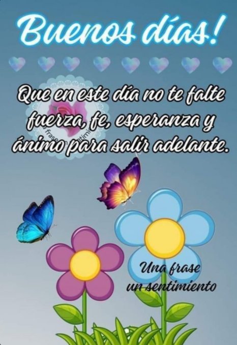 Lety_Castro_S's tweet photo. Buenos días, excelente inicio de semana!!🤗🌷💕🌻🌼 https://t.co/zpXt22FW0Q