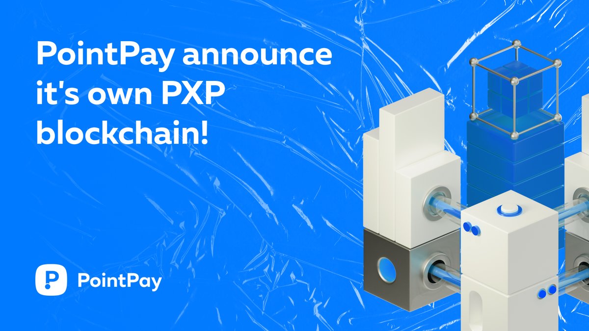 PointPay1's tweet photo. PointPay announces the development of its own blockchain, spearheaded by the PXP token! A new step in the development of the PointPay ecosystem and the utility of the PXP token. Learn more details about the blockchain itself and future possibilities in our article!

Read more: https://t.co/Yf7Achb5ij

#blockchain #innovation #PXP #trading #DApps #utility