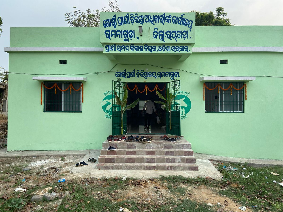 OVSA_RAYAGADA's tweet photo. Gruha Pravesha of Newly Inaugurated Block Veterinary Dispensery of Ramanaguda block under Gunupur subdivision of Rayagada district.
@CMO_Odisha  @farddept  @dahvsodisha https://t.co/CFXHKm8J03