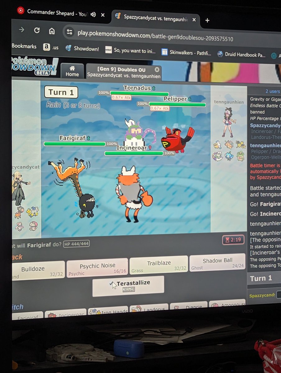 Suzu the Cat tweet media