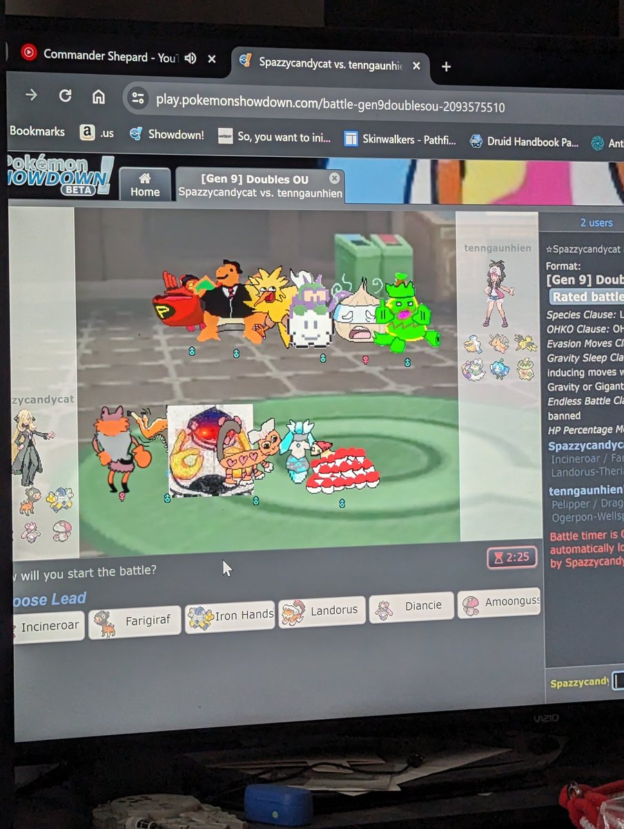 Suzu the Cat tweet media