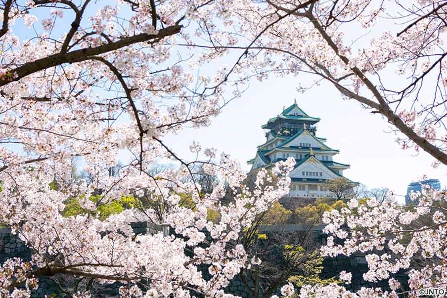 ACPRail's tweet image. It’s cherry blossom season in Japan! Check out our Japan Rail passes and book your trip to visit the scenic landscapes today:
acprail.com/rail-passes/ja…
