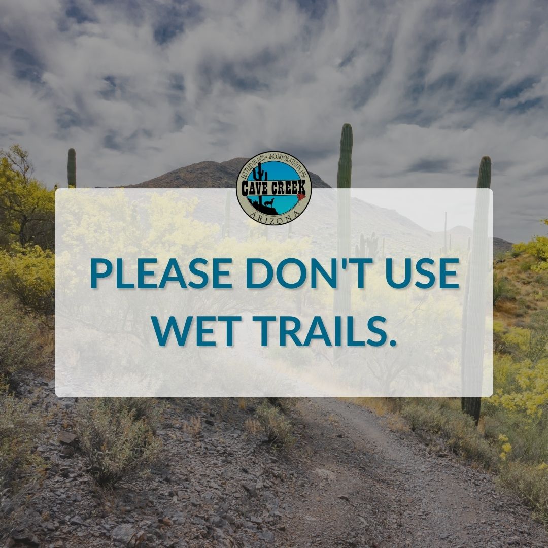 It was another rainy weekend! It's a good time to remind everyone to please refrain from using the Town's trails (to prevent damaging them) until they have had time to completely dry. Thank you.