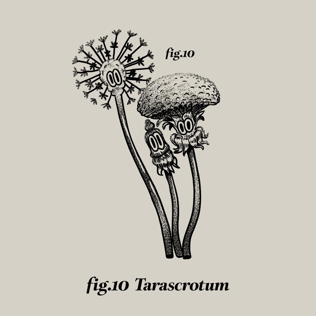 DudesFactory's tweet image. What's a more loving gesture towards your plants than addressing them by their true Latin names? Perhaps engaging in plant sex? Although, not sure we want to go there…
I said not sure! 
#WhosIn? #InHow?
dudes-factory.com/products/facep…