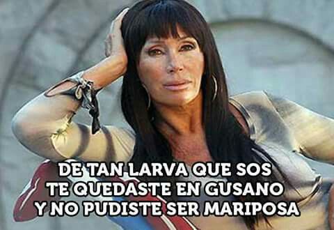 Woojin habla de straykids porque es obvio que quiere atención 🤷