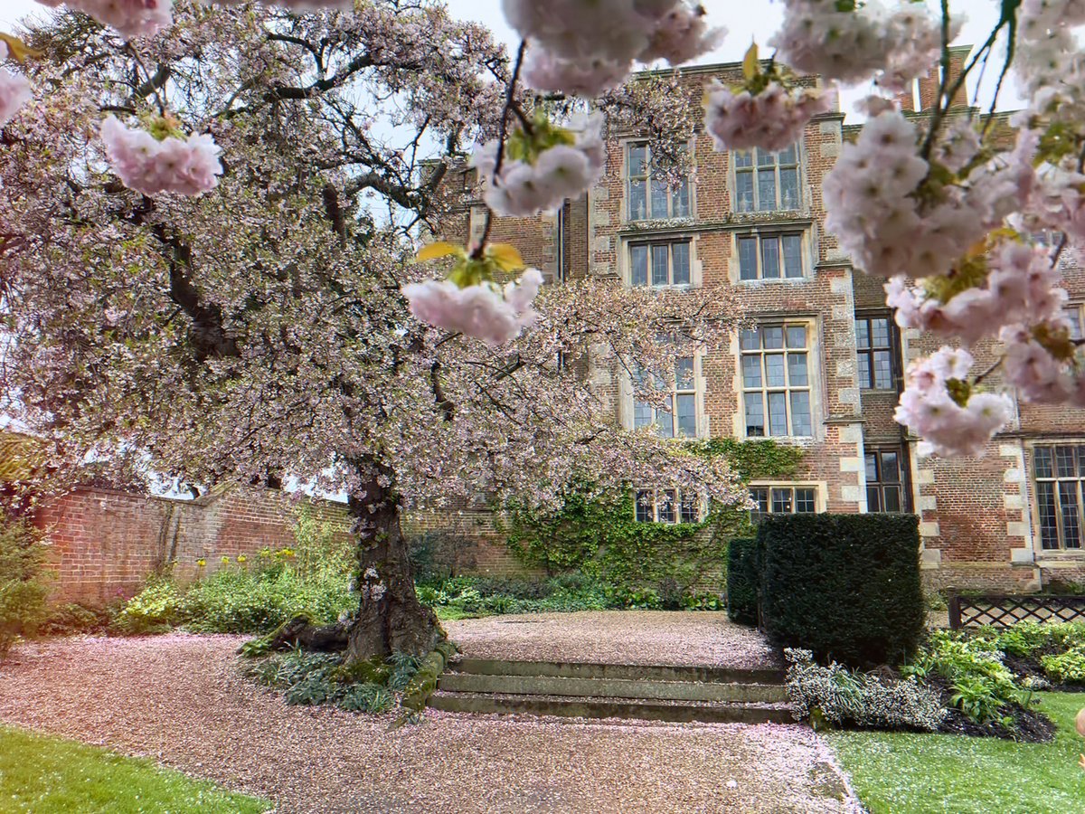 Had to come & pay homage to @DoddingtonHall in blossom 🌸🌸🌸🌸🌸