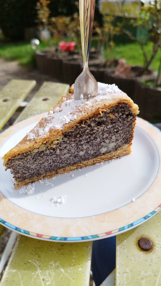 Alex 361 tweet media