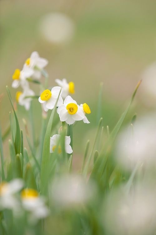 Spring #NatureBeauty