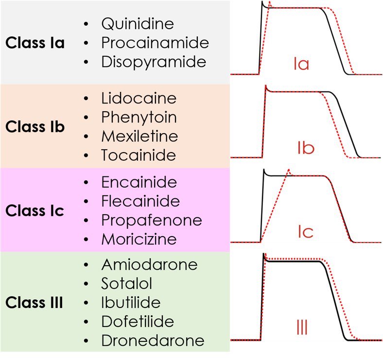 Finally #MedTwitter and #MedX I found a way to remember antiarrhythmic classes without EVER forgetting or having to memorize. Read this thread to learn how: