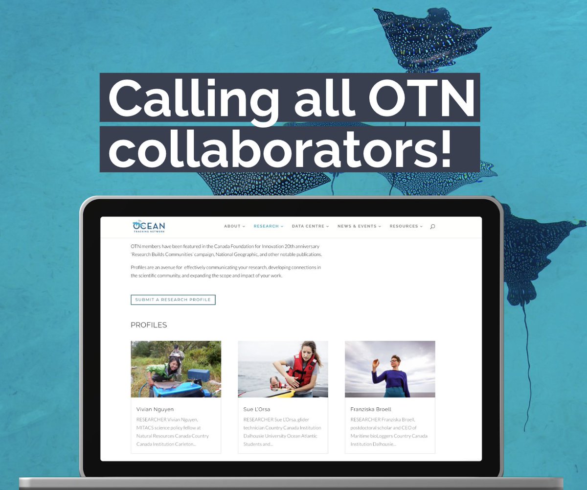 🚨Calling all OTN collaborators interested in showcasing their research!🚨 Website profiles are a great way to boost project recognition, develop connections in the scientific community, &amp; enhance the visibility of your telemetry research.

Learn more: bit.ly/3ZLiCpy