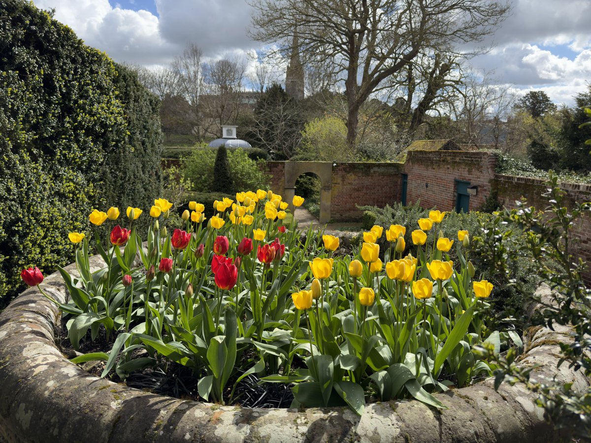 Jacob’s Well Bridge End Garden Saffron Walden <a href="/GardenBridgeEnd/">Bridge End Garden</a>
<a href="/swtic/">Saffron Walden TIC</a> <a href="/Saffronwaldentc/">Saffron Walden Town Council</a>
<a href="/UttlesfordDC/">Uttlesford DC</a> <a href="/SafWaldInitiat/">SWInitiative</a> <a href="/DUttlesford/">Discover Uttlesford</a> <a href="/VisitEssex/">Visit Essex</a> <a href="/swaldenreporter/">Saffron Walden Reporter</a> @arcldp #SaffronWalden #Essex #tulips