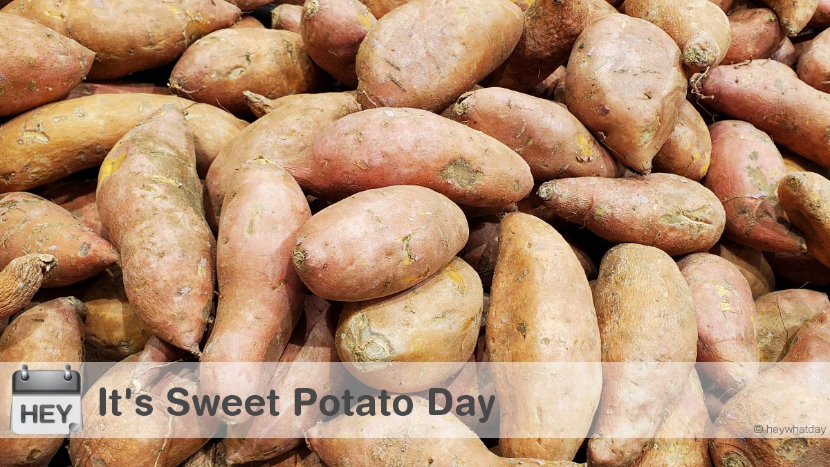 It's Sweet Potato Day! 
#SweetPotatoes #SweetPotatoDay #NationalSweetPotatoDay