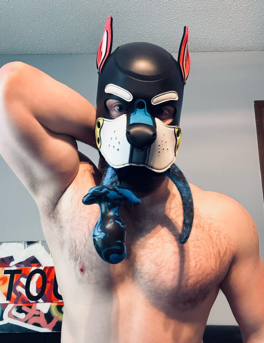 Welp I have a big, filled day ahead of me 🤤😵‍💫🐾