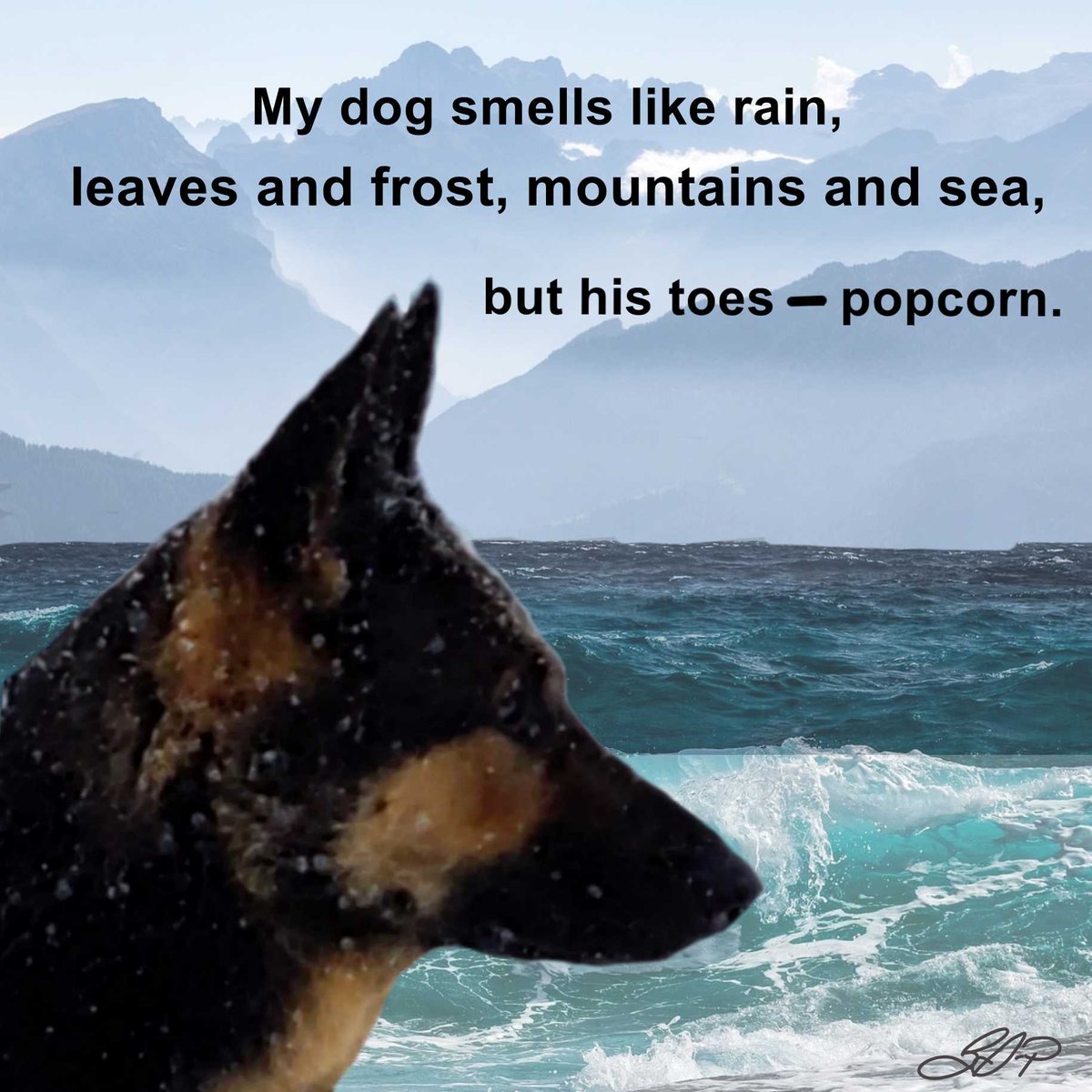 BDavisPyles's tweet photo. Happy National Poetry Month! Yes, I am a fool for bad haiku.
#writingcommunity #badhaiku https://t.co/AfLPorQ9k7
