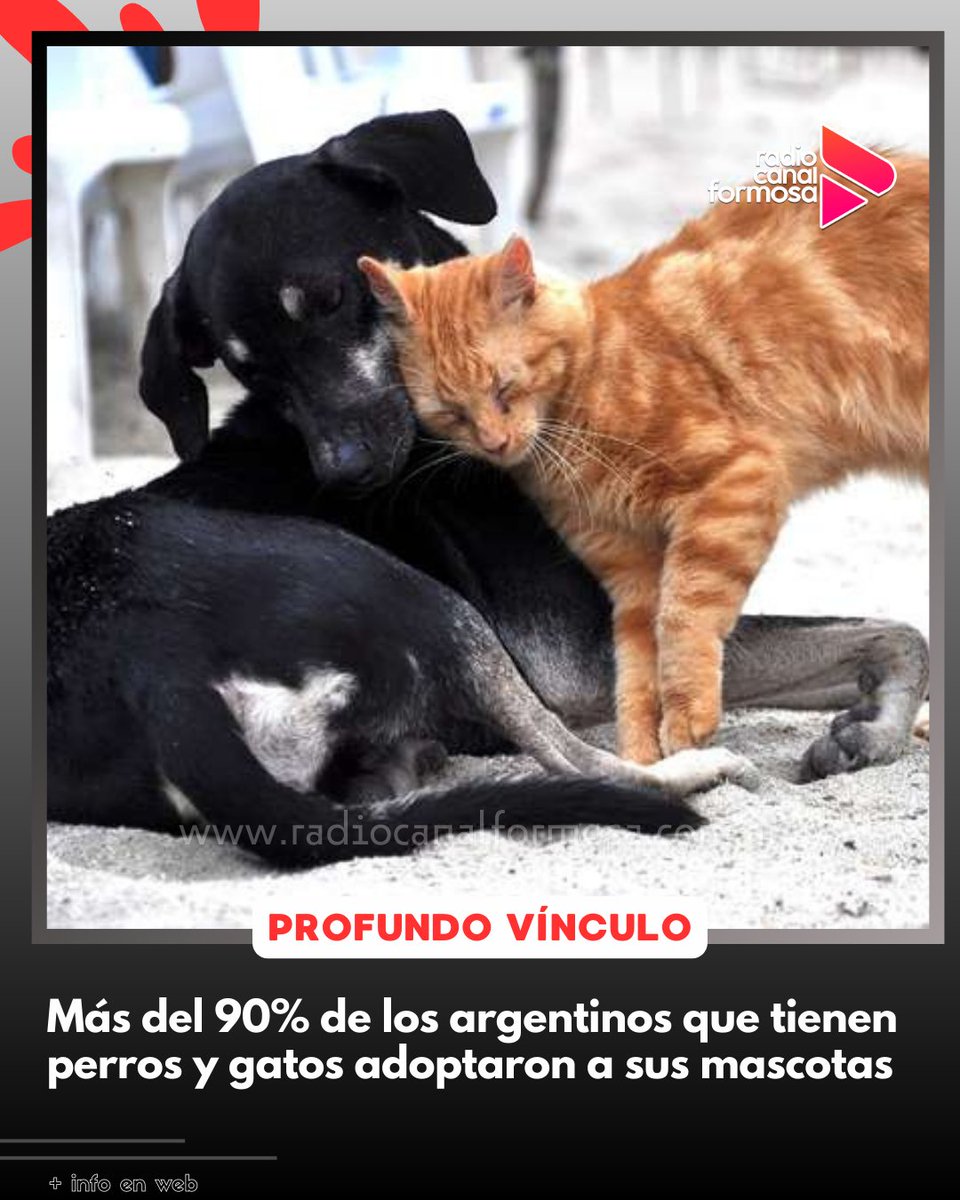 💕🐕 Según un estudio realizado por la empresa de investigación "Voices", la mayoría de los argentinos que tienen como mascotas a perros y gatos adoptaron a las mismas.

#amigos #mascotas #perro #gato #familia #adopciones #amor #love #argentinos