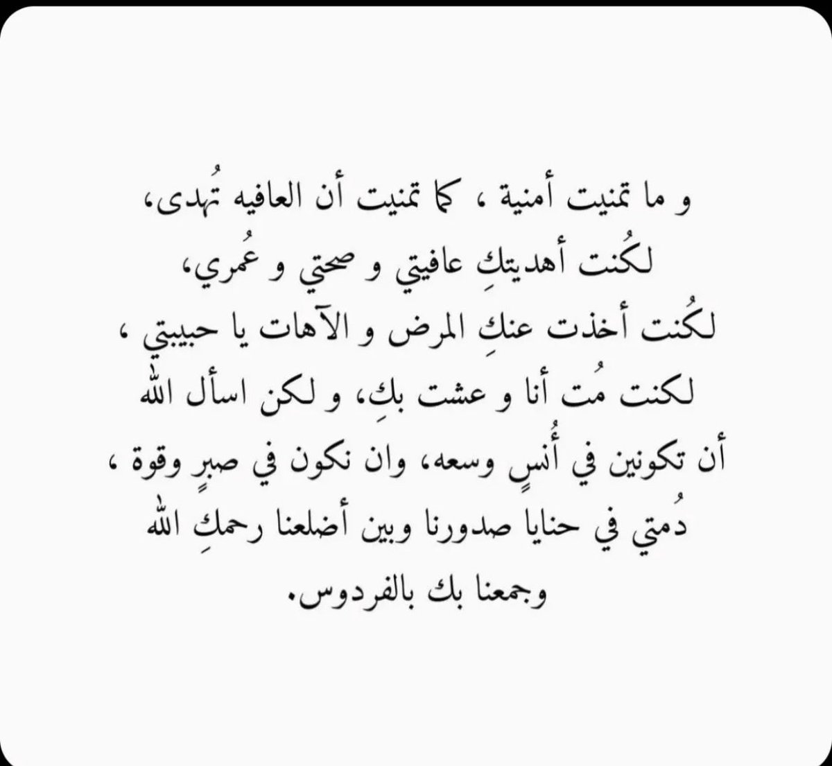 _Noud56 tweet picture