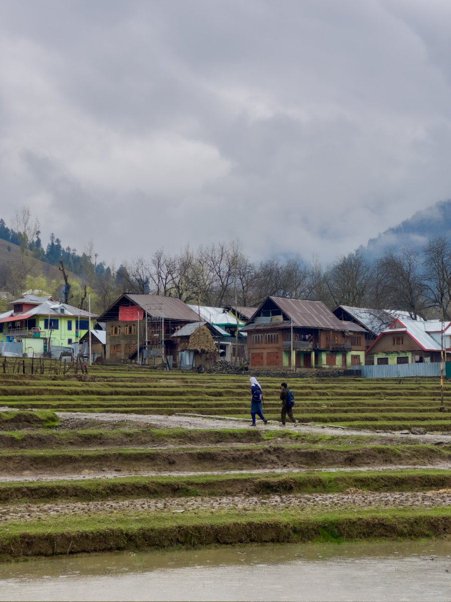 Raindrops and backpacks: A picturesque scene of youthful resilience on the way to school...