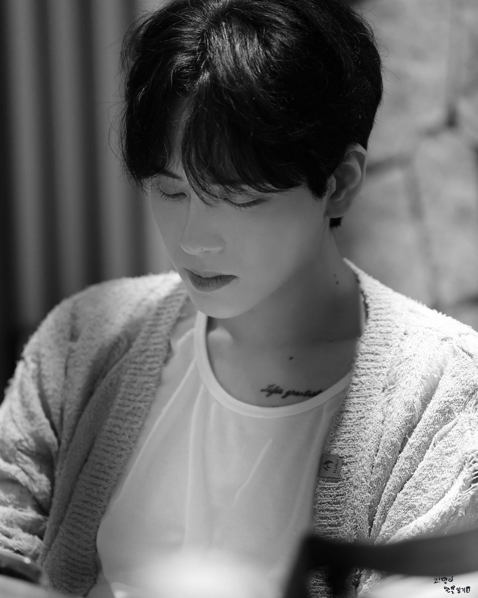 240330 벚꽃놀이

#정현 #JUNGHYUN #코히 #KOHI