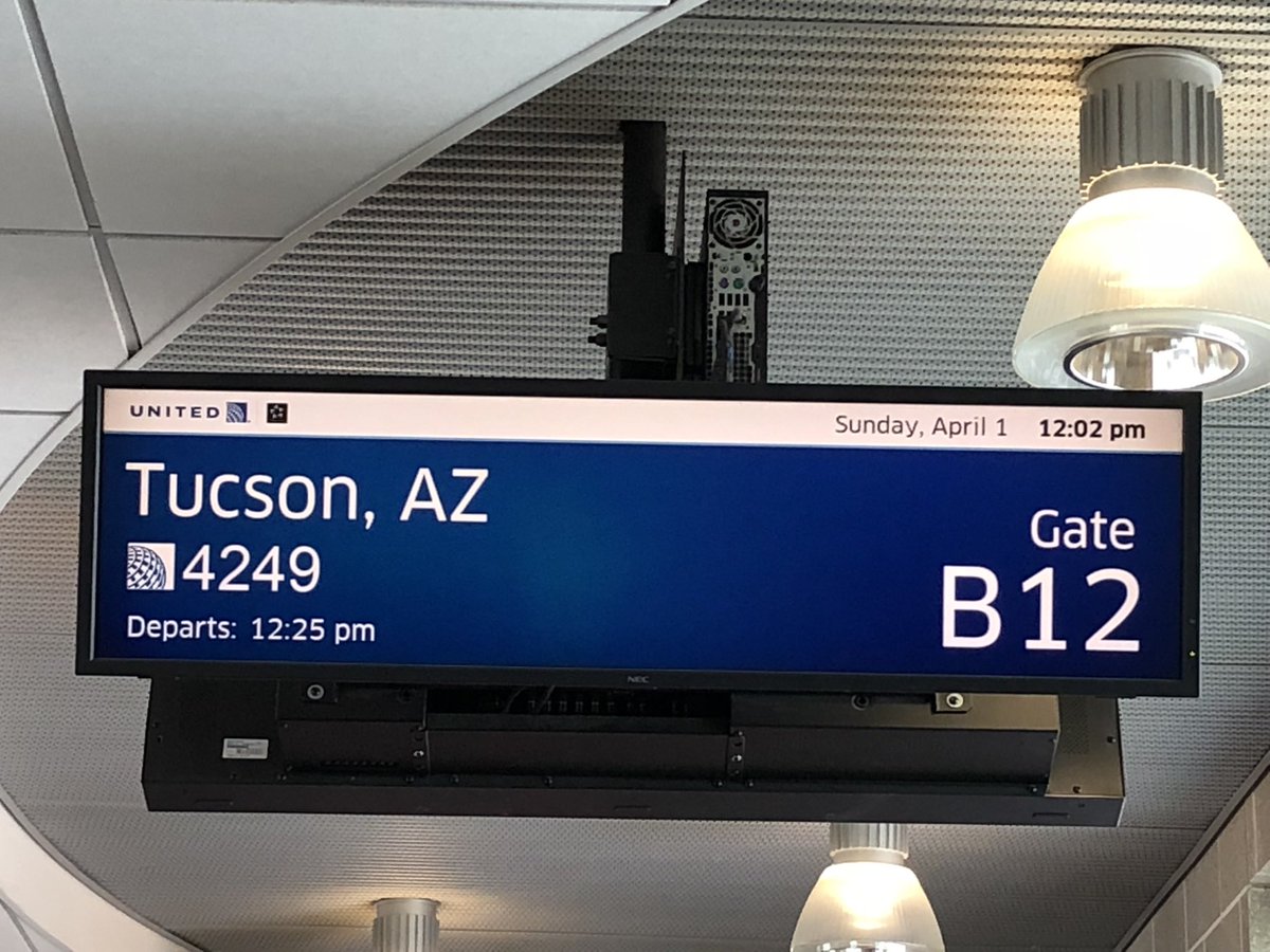 Rachna Shroff, MD, MS, FASCO tweet media