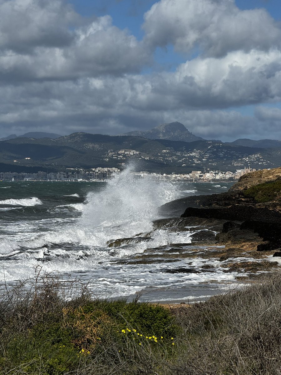 Jack Graham-Troll Sailing tweet media