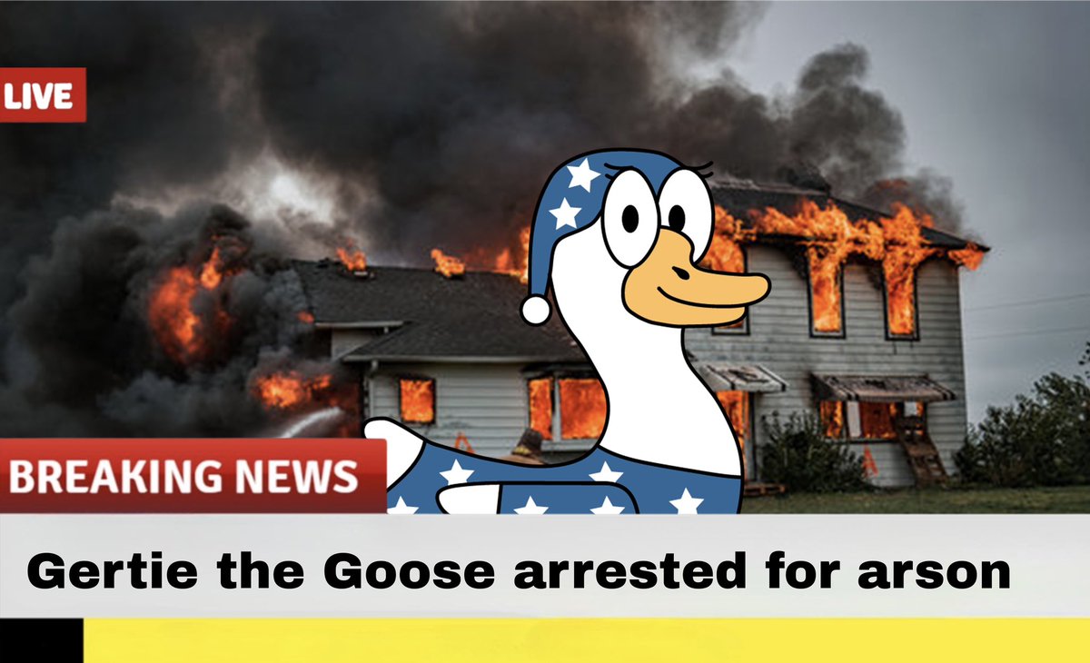 bsu_tonight's tweet image. GERTIE NO!