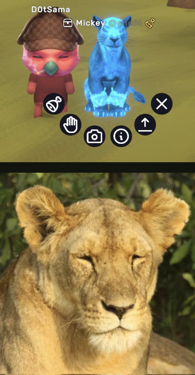 D0tSama's tweet photo. My #WildSama lions revealed on @MoonsamaNFT https://t.co/PvVU2fTdhT