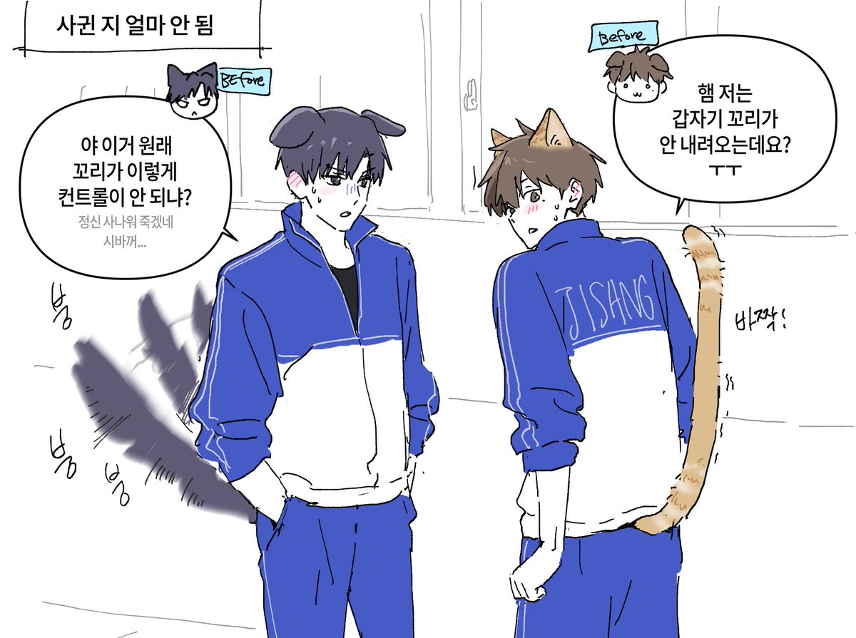 🩵miyang tweet media