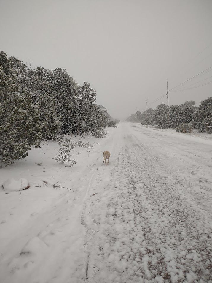 APS Employee Wellness tweet media