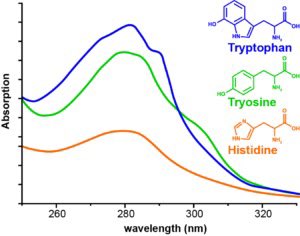 Spectral absorption of aromatic rings in our amino acids. Histidine which comes from meat traps light flipping its switch in our skin when brought to the surface by vasodilation (also mediated by light) flips trans to cis UCA protecting us from histamine imbalance.