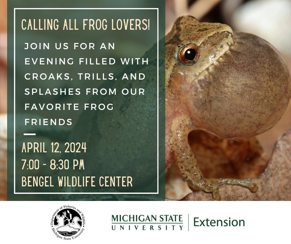 Fisheries & Wildlife at Michigan State University (@michiganstatefw) on Twitter photo Calling all FROG lovers! Join FW faculty <a href="/ARWarwick/">Alexa Warwick</a> and MSU Extension Educator Paige Filice for a spring frog walk at the Bengel Wildlife Center in Bath Twp, MI. This event is FREE but registration is required: events.anr.msu.edu/MSUE_Spring_Fr…
#frogs #springtime #wetlands #nature Calling all FROG lovers! Join FW faculty <a href="/ARWarwick/">Alexa Warwick</a> and MSU Extension Educator Paige Filice for a spring frog walk at the Bengel Wildlife Center in Bath Twp, MI. This event is FREE but registration is required: events.anr.msu.edu/MSUE_Spring_Fr…
#frogs #springtime #wetlands #nature