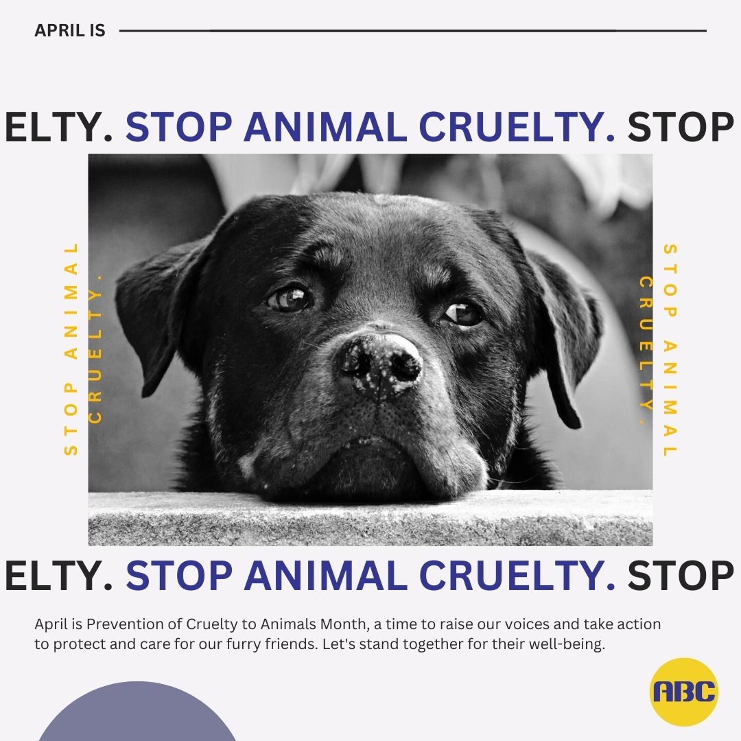 April is Prevention of Cruelty to Animals Month, a time to raise our voices and take action to protect and care for our furry friends. Let's stand together for their well-being. 🐾💙
#ABC #Animalbehaviorcollege #helppeoplehelpanimals #PreventionOfCrueltyToAnimals