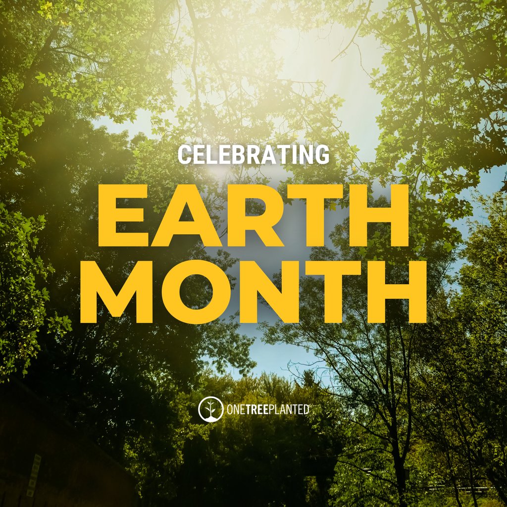 Happy #EarthMonth! 🌏 Let's pause to appreciate our planet's beauty and recommit to it's preservation. With just $1 planting one tree, every small action makes a big impact. 🌱 Make a #GreenImpact this month! onetreeplanted.info/3xcMVwr