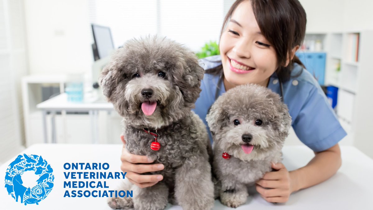 Let the change of season be a reminder to schedule your pet's annual exam. Routine checkups with your veterinarian can help prevent diseases through early detection and can help you avoid unexpected treatment costs later on.