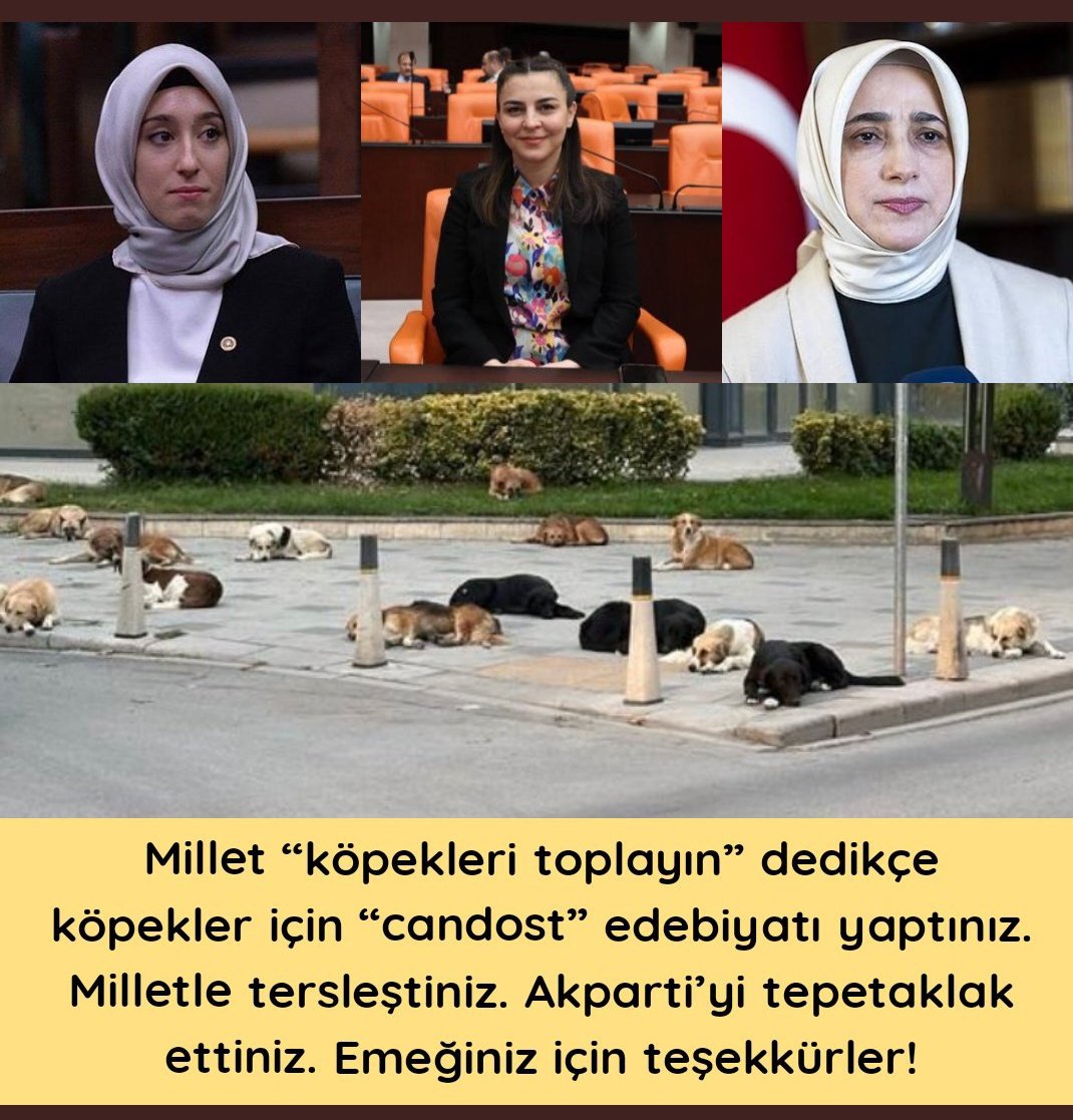 Bu üçlü çok güçlü... O kadar ki; muhalefet bile halkı bu denli soğutamadı @Akparti'den! Tebrik etmek lâzım...