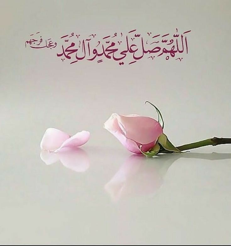 jamshaid Ali tweet media