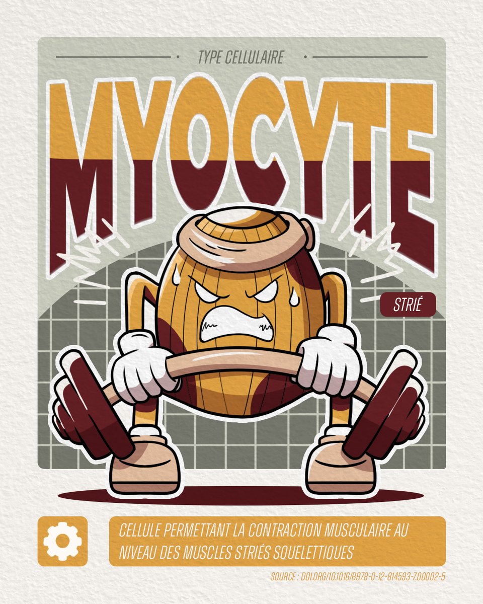 [ 🎨#sciart ] J'hésite entre ces deux versions🤔.

Vous préférez laquelle 😊?

#science #scicomm #digitalillustration