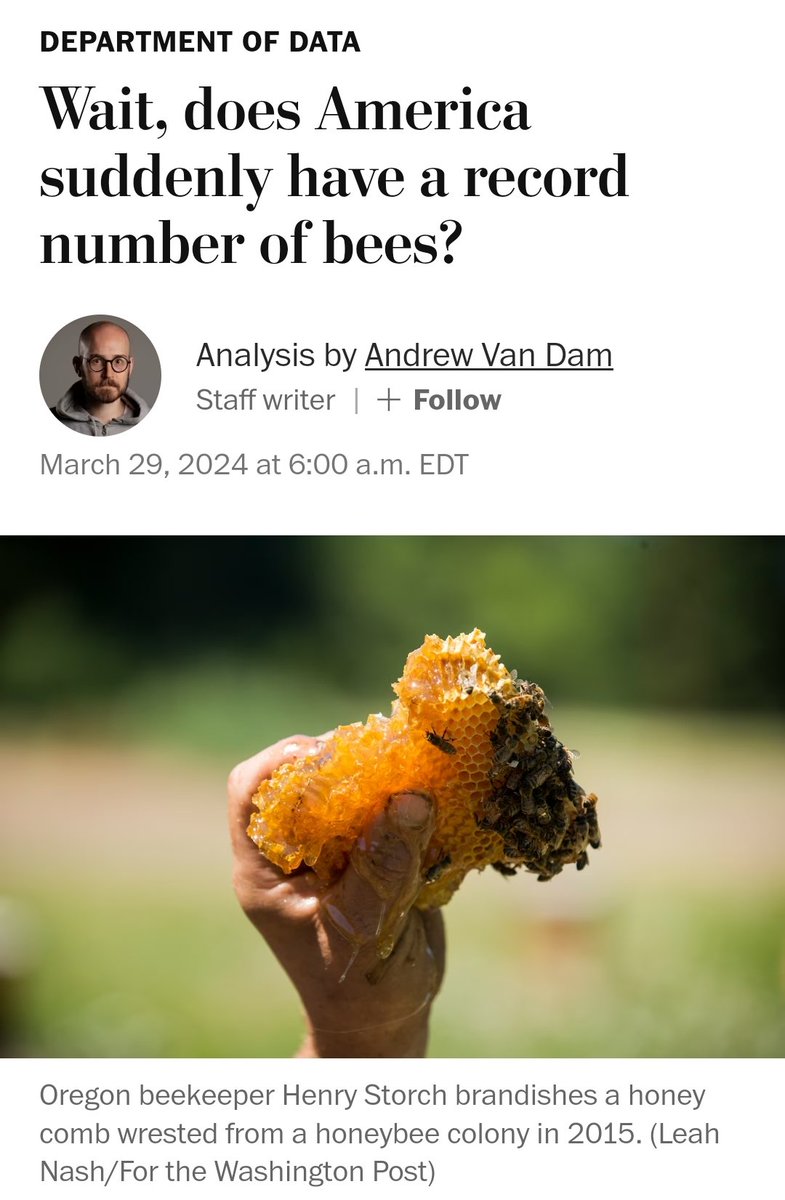 TOO MANY BEES