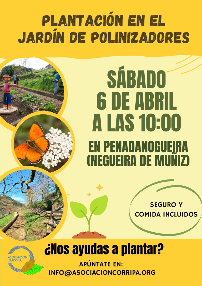 El #Jardín de #polinizadores Fernando Fueyo te necesita. ¿Quieres ayudar? Esta semana nos toca plantar las plantas hortícolas 🍅🥬🍆 ¿Te animas? Te esperamos este sábado por la mañana en #Penadanogueira Apúntate en 👇

#Cienciaenlaaldea
#Biodiversidad 
#rural
