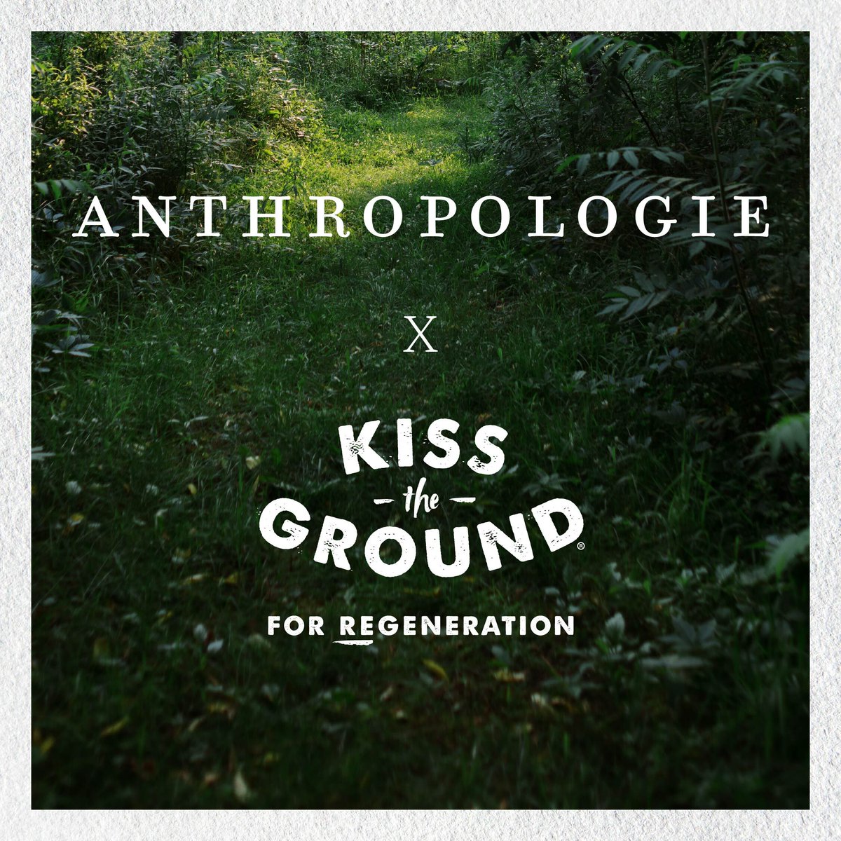 💚 We are excited to announce that @Anthropologie, a global lifestyle brand, is our newest 10k Acre Partner! Their generous contribution will help to inspire and catalyze the transition of 10,000 acres of land into regenerative. 🔎 Learn more kisstheground.com/partnerships/