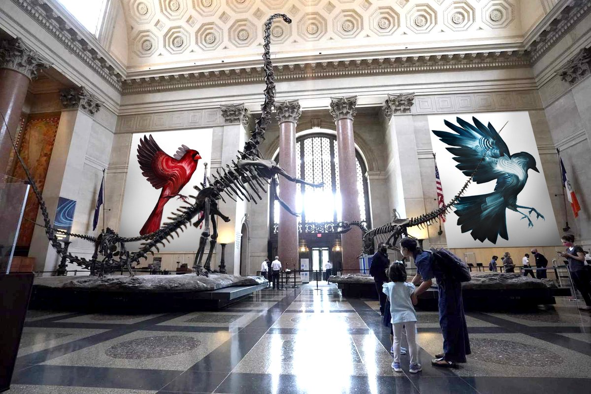 adamsdoyle's tweet photo. My paintings are now being exhibited at the Museum of Natural History in New York City 🌟

Check out the show on view till the end of summer 🌞 https://t.co/AXzhTAFDTh